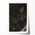 Dark Moody Wall Art - Nest with Blue Eggs for Natural Interior Decor