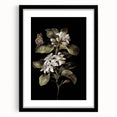 Dark Moody Wall Art: Timeless Botanical Art Print with Dramatic Tones