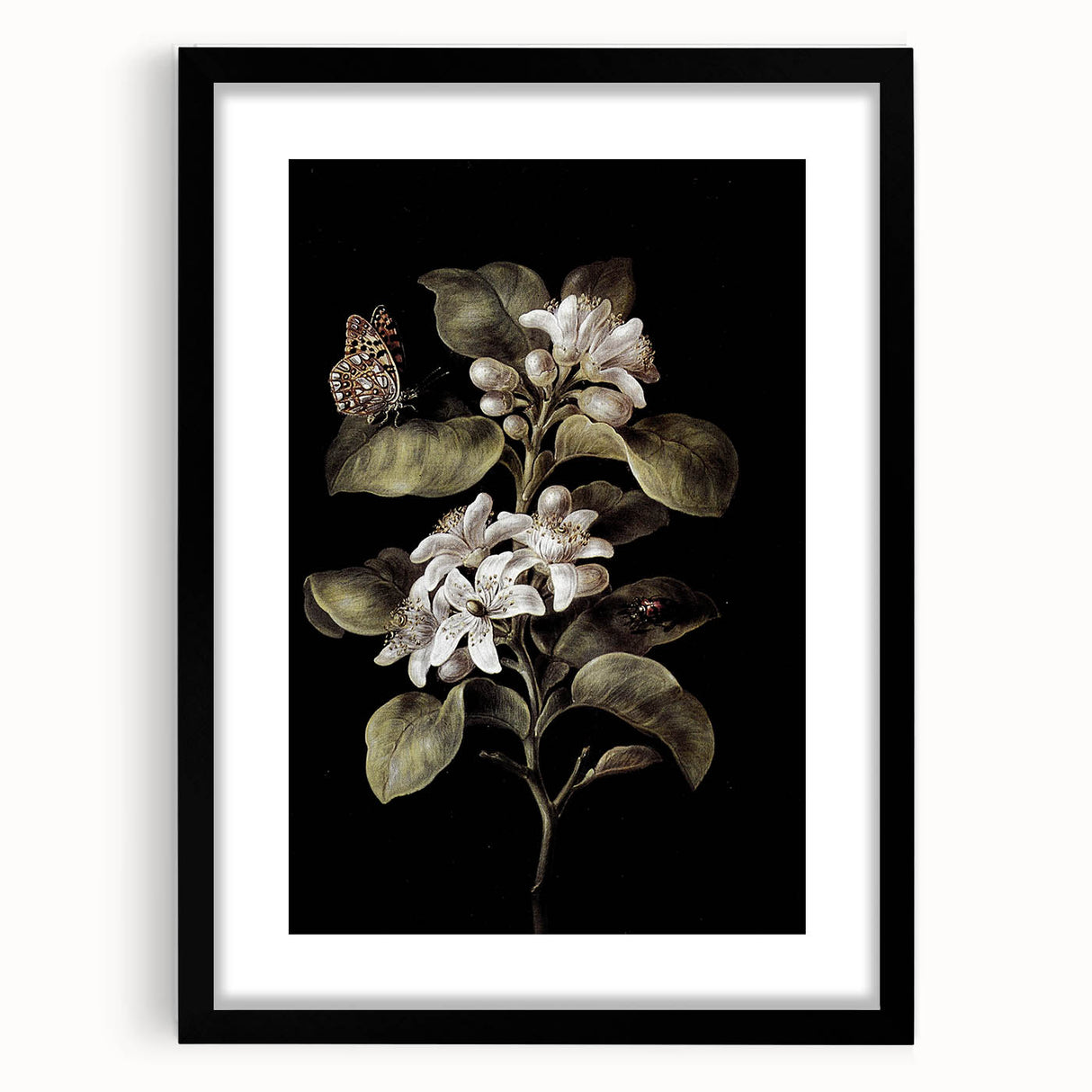 Dark Moody Wall Art: Timeless Botanical Art Print with Dramatic Tones