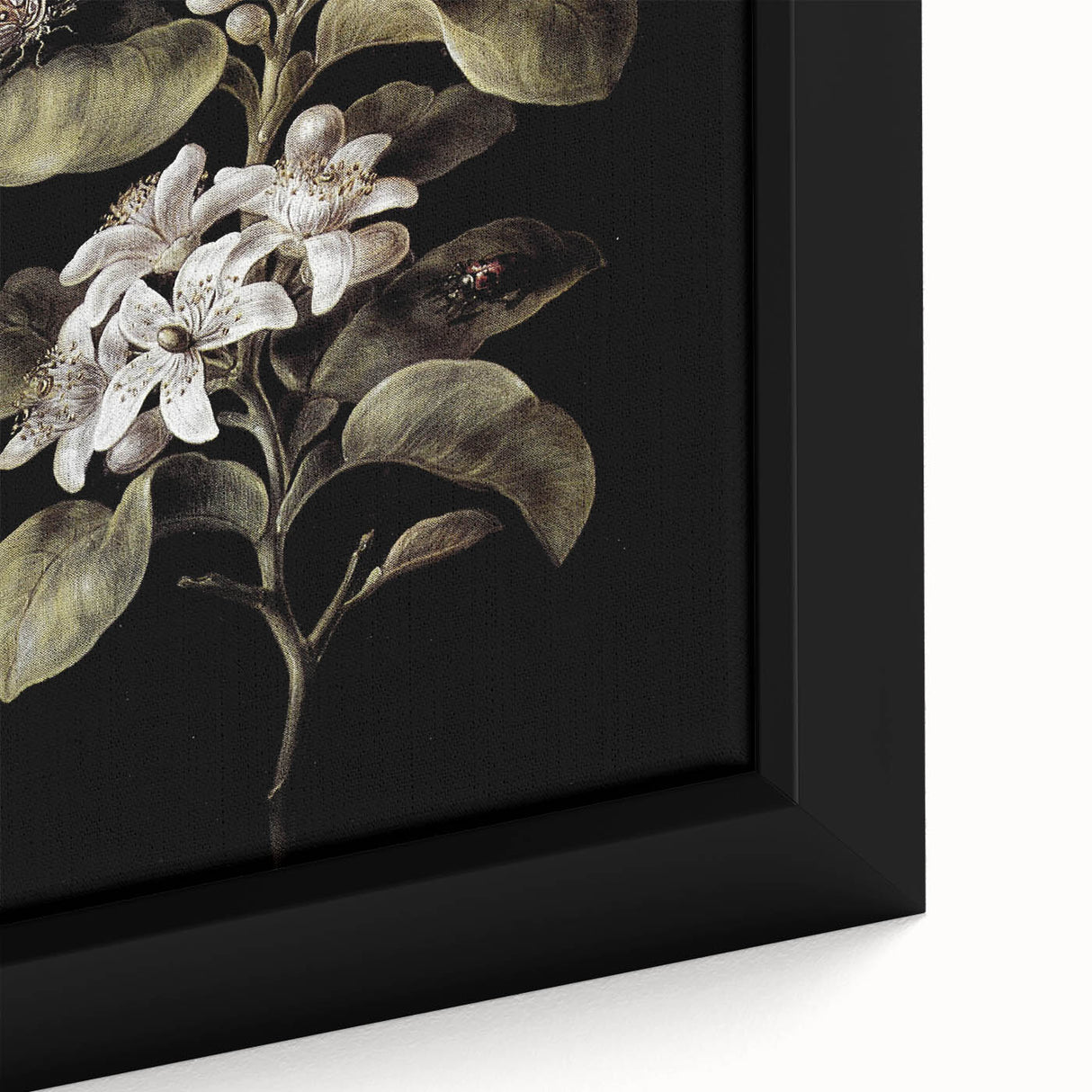 Dark Moody Wall Art: Timeless Botanical Art Print with Dramatic Tones