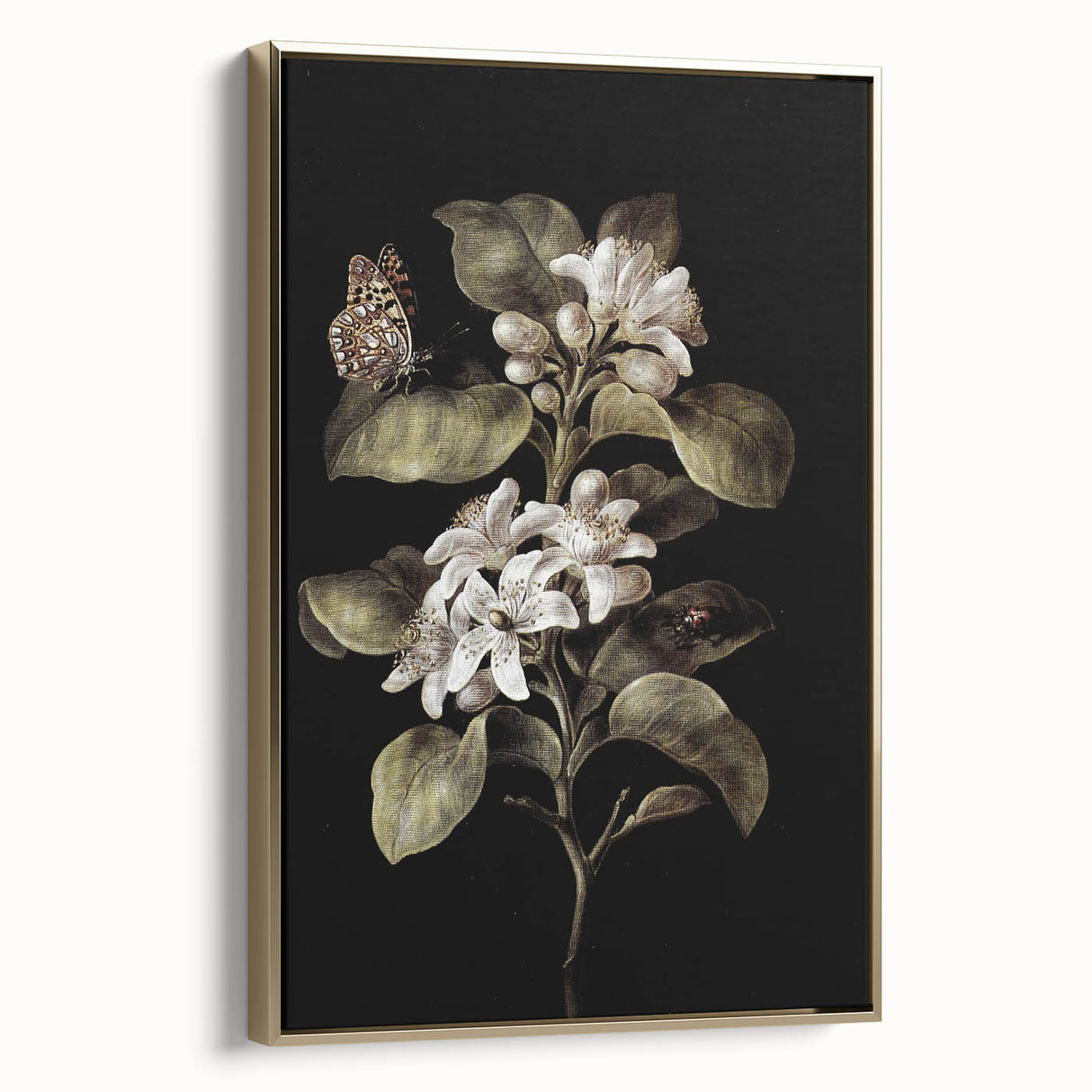 Dark Moody Wall Art: Timeless Botanical Art Print with Dramatic Tones