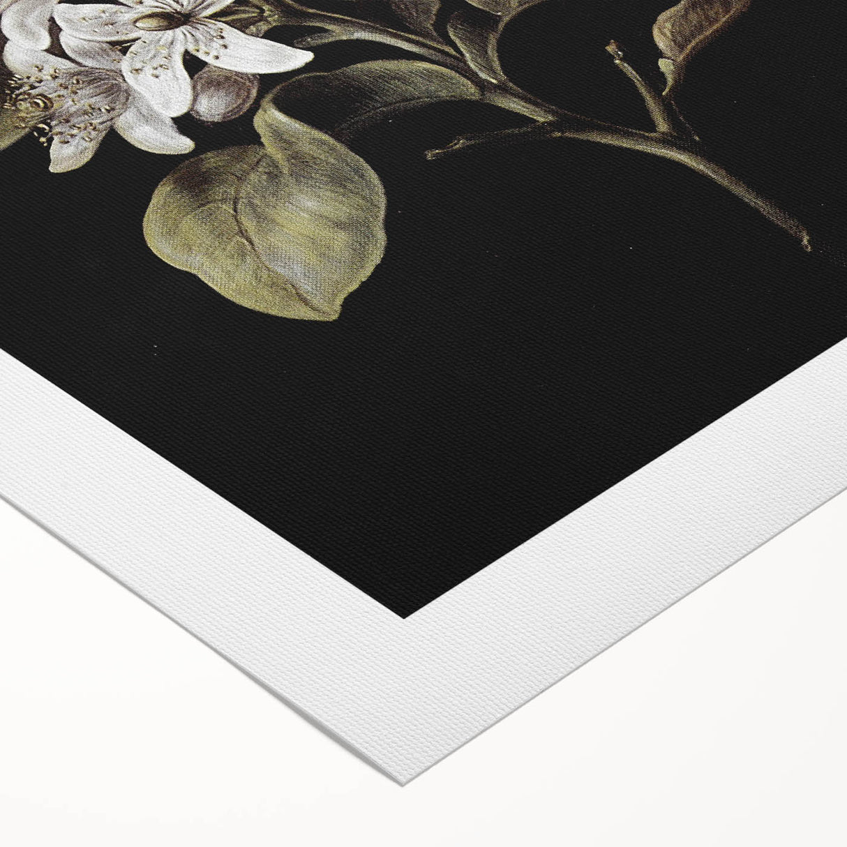 Dark Moody Wall Art: Timeless Botanical Art Print with Dramatic Tones