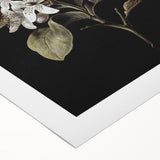 Dark Moody Wall Art: Timeless Botanical Art Print with Dramatic Tones