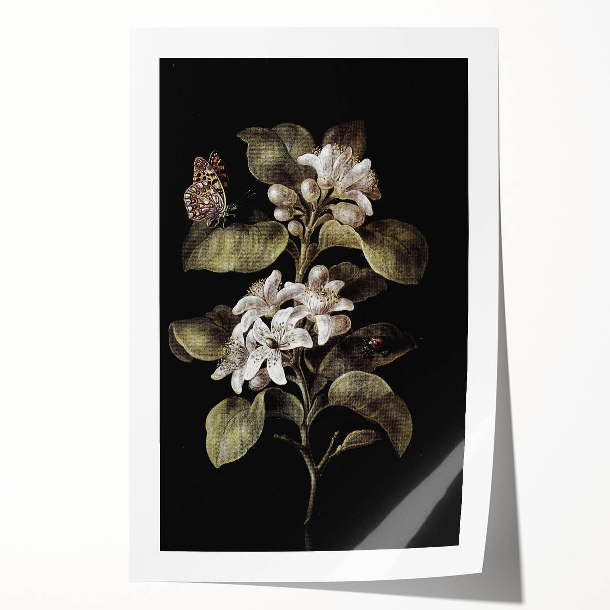Dark Moody Wall Art: Timeless Botanical Art Print with Dramatic Tones