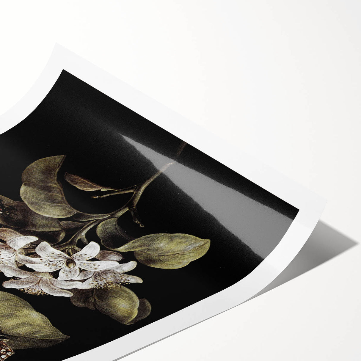 Dark Moody Wall Art: Timeless Botanical Art Print with Dramatic Tones