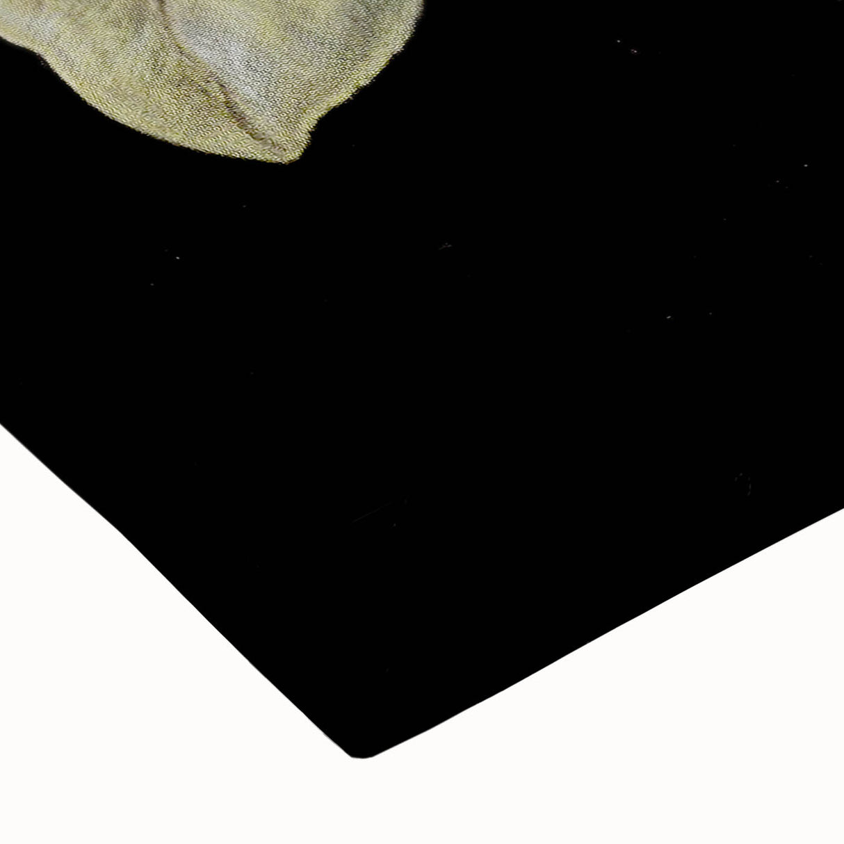 Dark Moody Wall Art: Timeless Botanical Art Print with Dramatic Tones