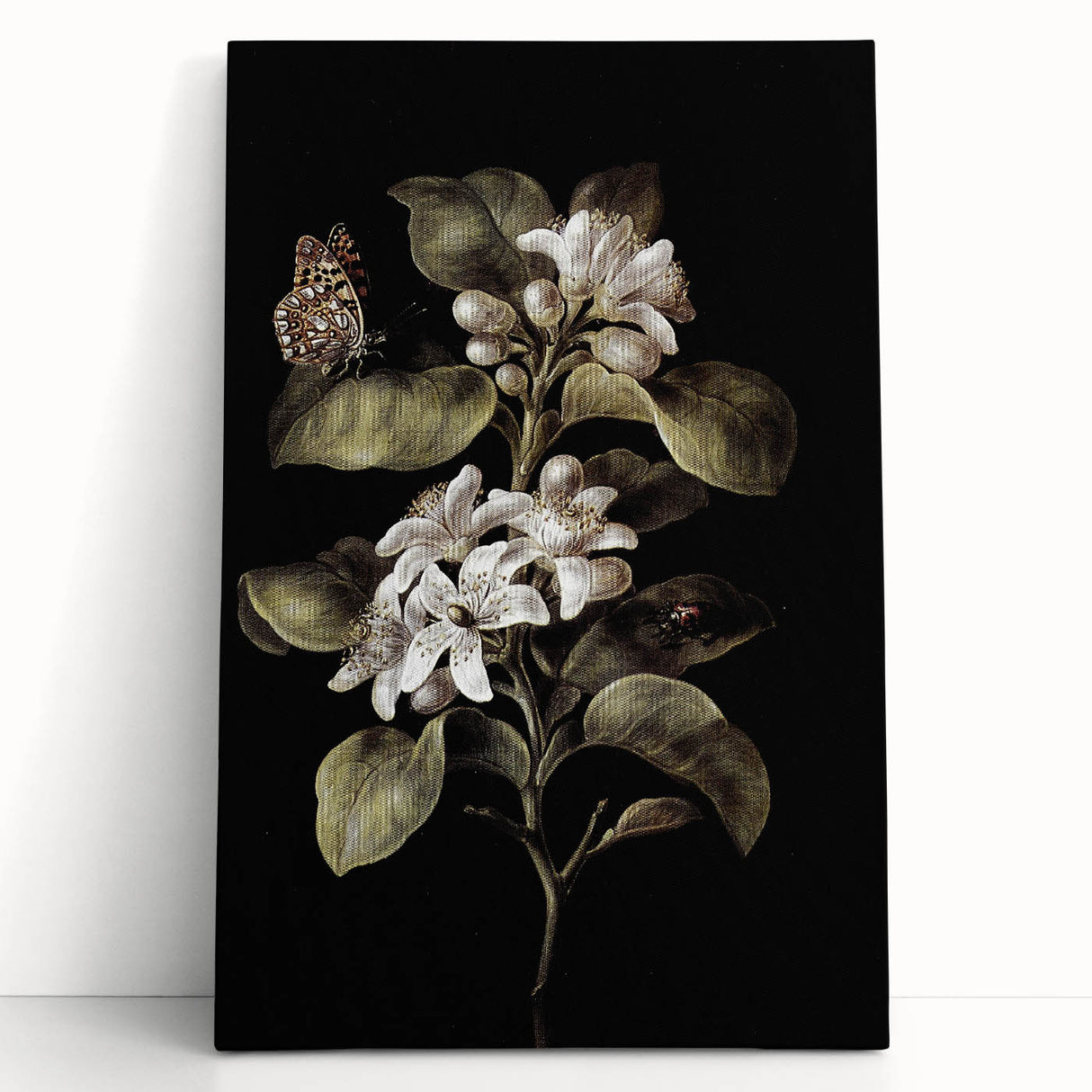 Dark Moody Wall Art: Timeless Botanical Art Print with Dramatic Tones