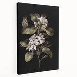 Dark Moody Wall Art: Timeless Botanical Art Print with Dramatic Tones