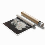 Elegant Moody Floral Art | Dark and Light Contrast for Timeless Interiors