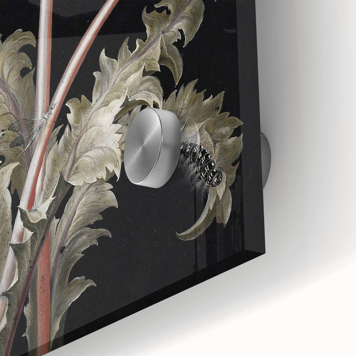 Moody Nature Art | Dark Floral and Butterfly Prints for Elegant Spaces
