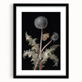 Moody Nature Art | Dark Floral and Butterfly Prints for Elegant Spaces