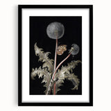 Moody Nature Art | Dark Floral and Butterfly Prints for Elegant Spaces