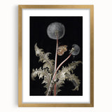 Moody Nature Art | Dark Floral and Butterfly Prints for Elegant Spaces