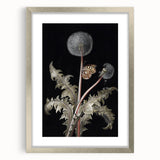 Moody Nature Art | Dark Floral and Butterfly Prints for Elegant Spaces