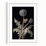 Moody Nature Art | Dark Floral and Butterfly Prints for Elegant Spaces