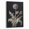 Moody Nature Art | Dark Floral and Butterfly Prints for Elegant Spaces