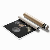 Moody Nature Art | Dark Floral and Butterfly Prints for Elegant Spaces