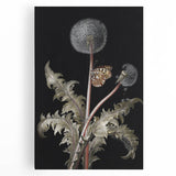 Moody Nature Art | Dark Floral and Butterfly Prints for Elegant Spaces