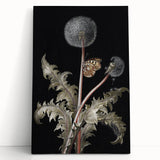 Moody Nature Art | Dark Floral and Butterfly Prints for Elegant Spaces