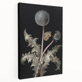 Moody Nature Art | Dark Floral and Butterfly Prints for Elegant Spaces