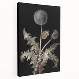 Moody Nature Art | Dark Floral and Butterfly Prints for Elegant Spaces