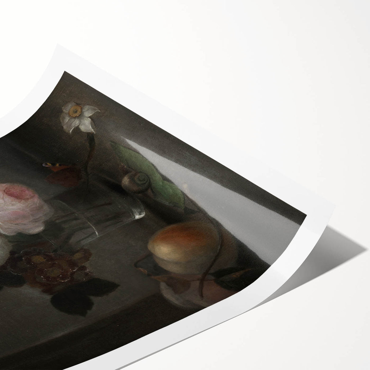 Moody Floral Still Life | Dark and Elegant Floral Wall Art for Interiors