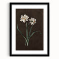 Moody Art Prints - Elegant Floral Still Life for Timeless Wall Decor