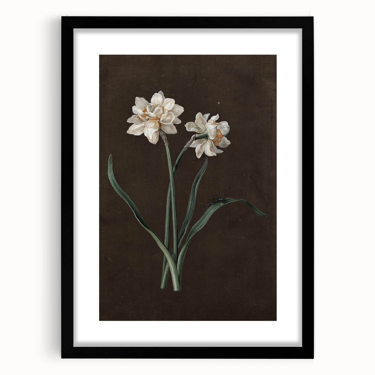 Moody Art Prints - Elegant Floral Still Life for Timeless Wall Decor