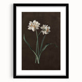 Moody Art Prints - Elegant Floral Still Life for Timeless Wall Decor