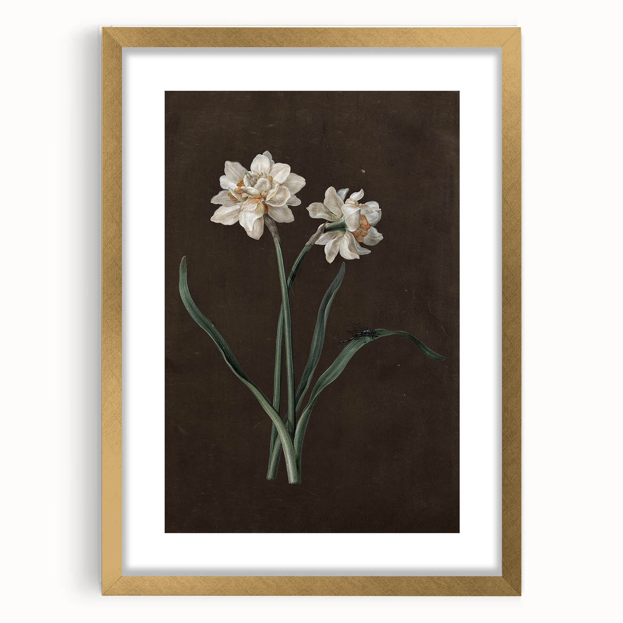 Moody Art Prints - Elegant Floral Still Life for Timeless Wall Decor
