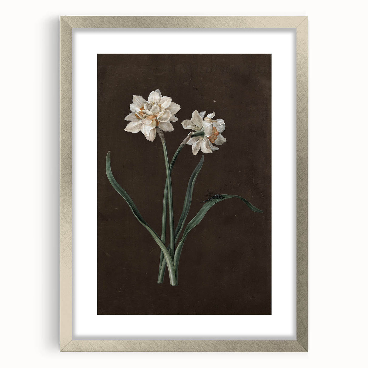Moody Art Prints - Elegant Floral Still Life for Timeless Wall Decor