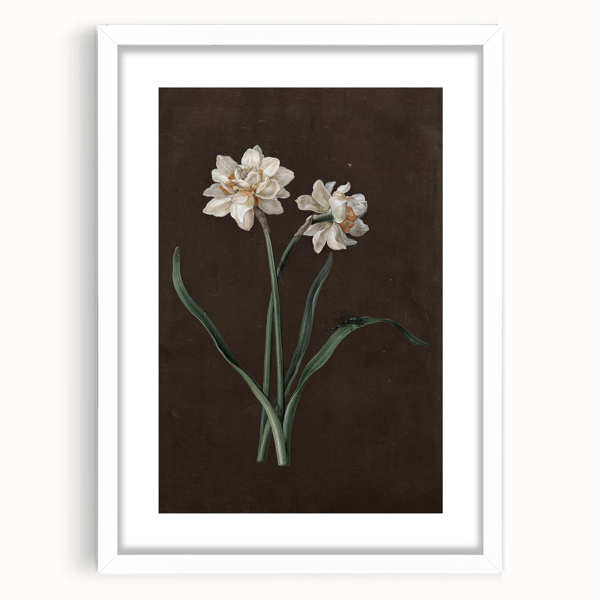 Moody Art Prints - Elegant Floral Still Life for Timeless Wall Decor