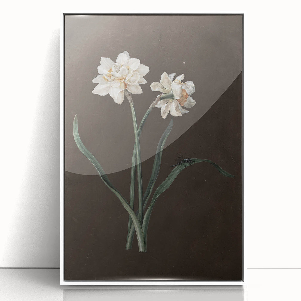 Moody Art Prints - Elegant Floral Still Life for Timeless Wall Decor