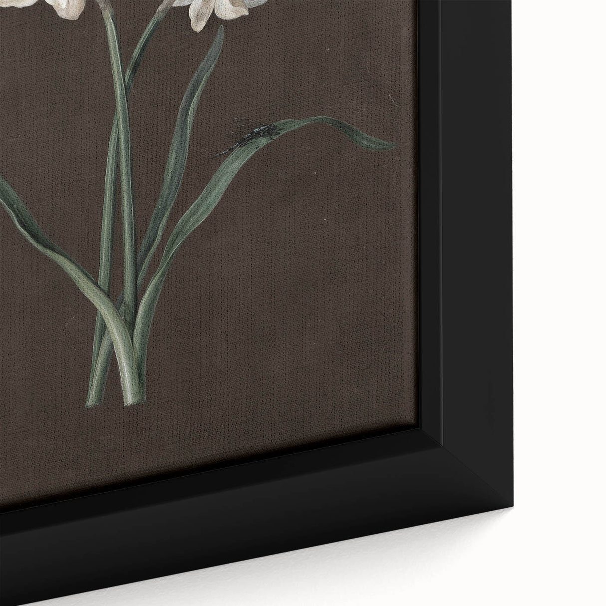 Moody Art Prints - Elegant Floral Still Life for Timeless Wall Decor