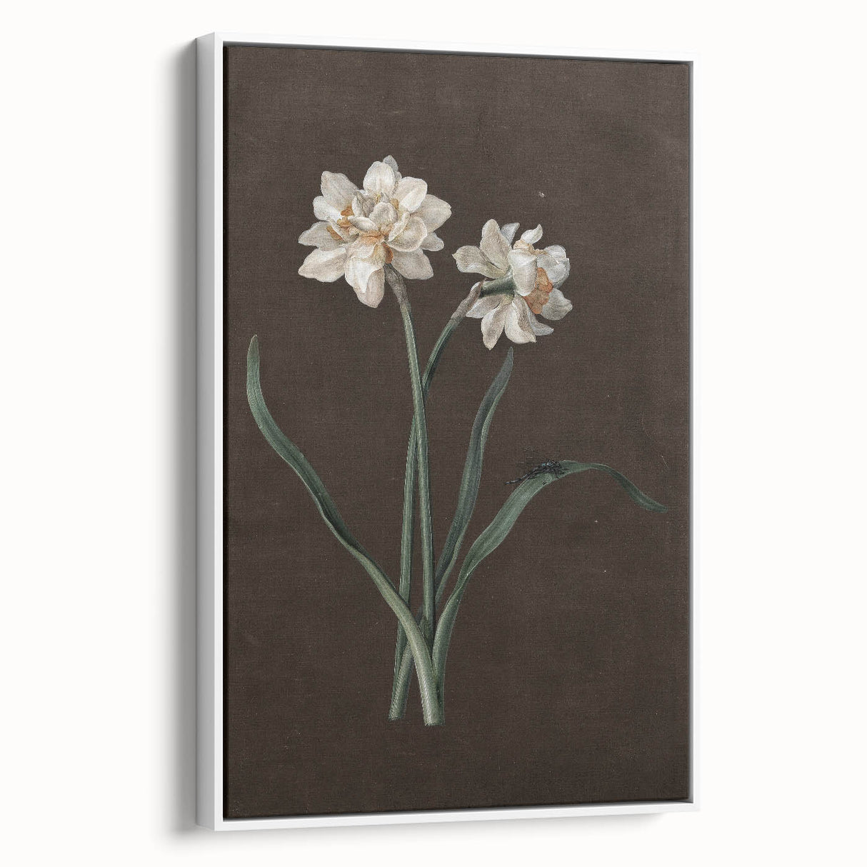Moody Art Prints - Elegant Floral Still Life for Timeless Wall Decor