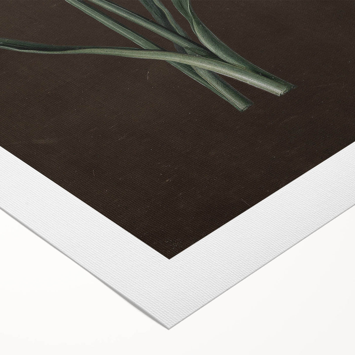 Moody Art Prints - Elegant Floral Still Life for Timeless Wall Decor
