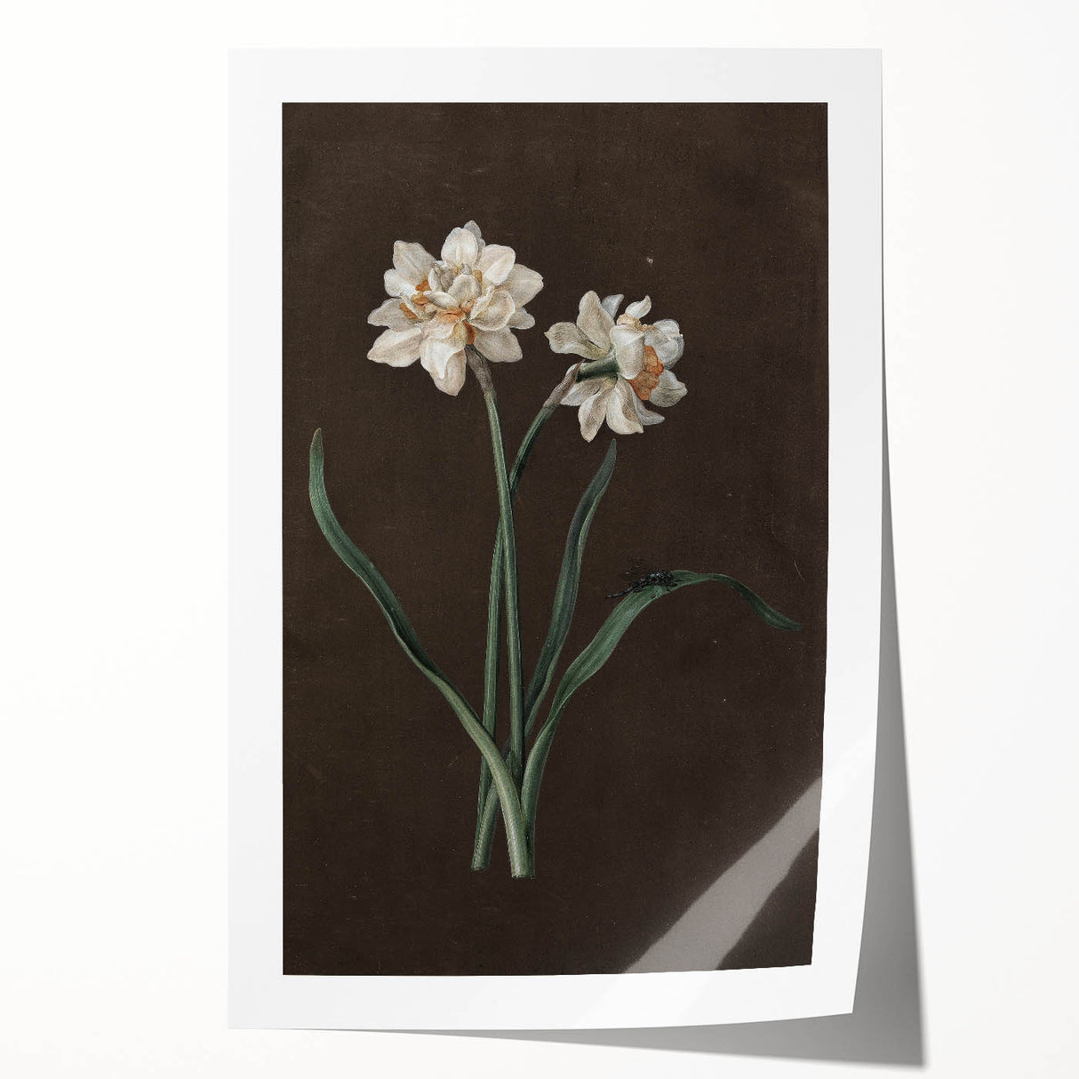 Moody Art Prints - Elegant Floral Still Life for Timeless Wall Decor
