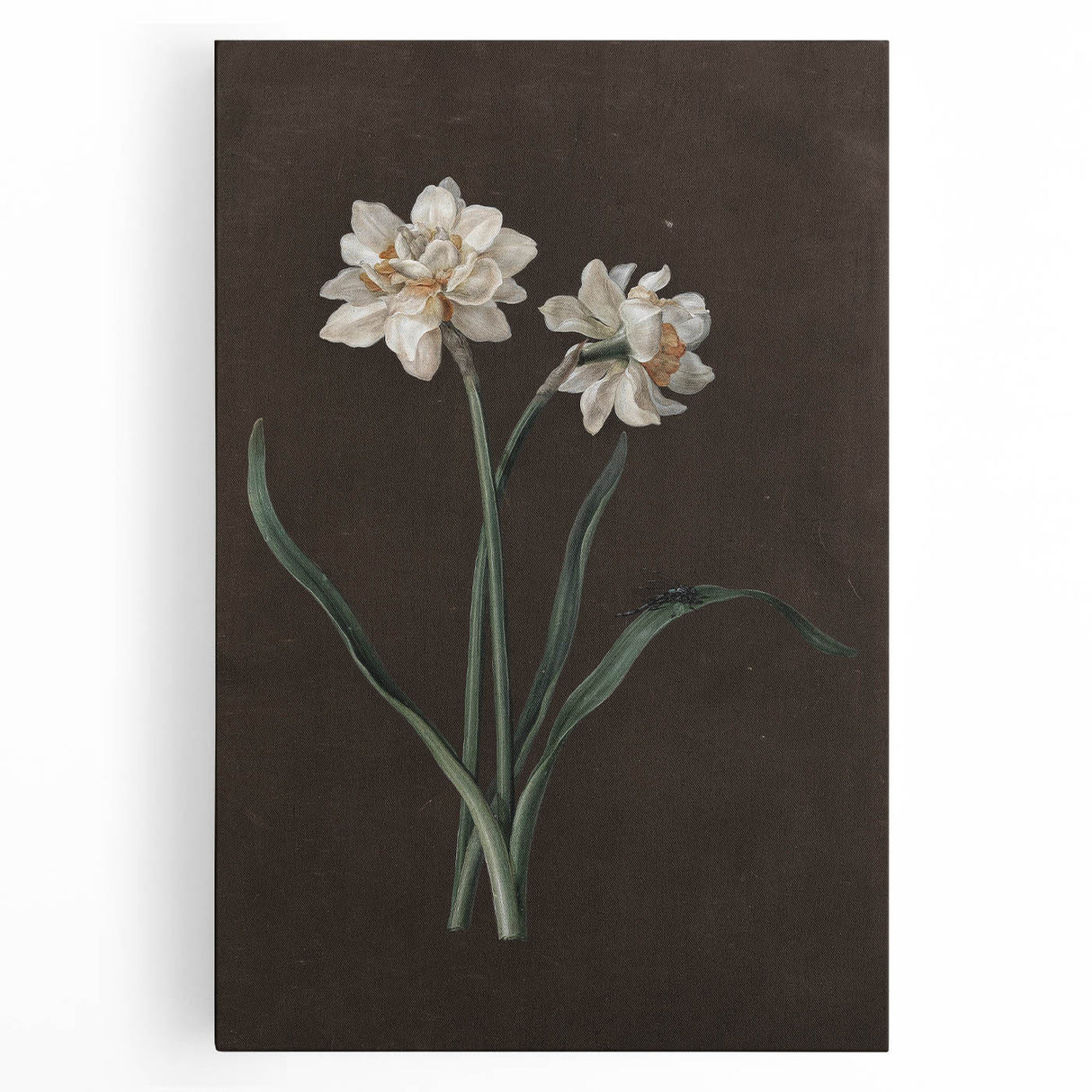 Moody Art Prints - Elegant Floral Still Life for Timeless Wall Decor