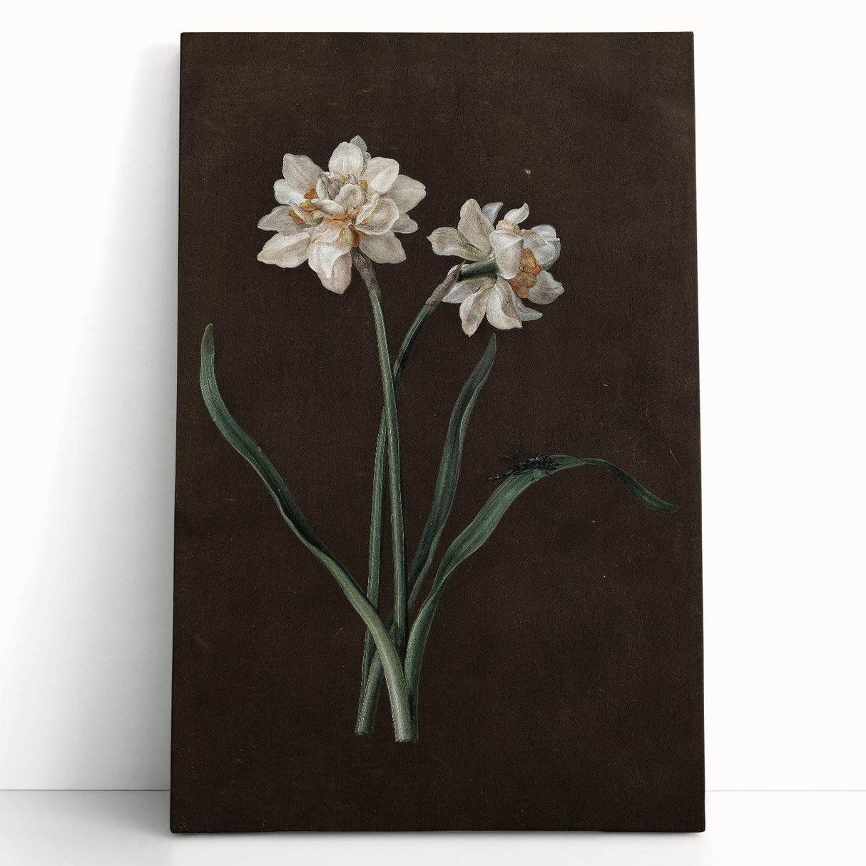 Moody Art Prints - Elegant Floral Still Life for Timeless Wall Decor