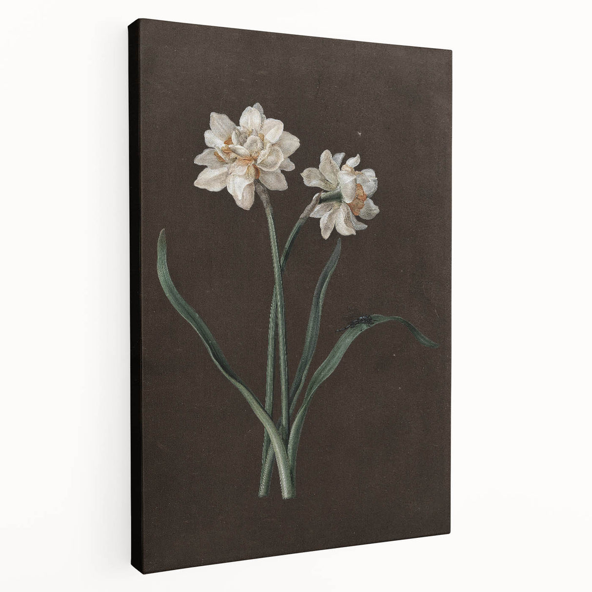 Moody Art Prints - Elegant Floral Still Life for Timeless Wall Decor