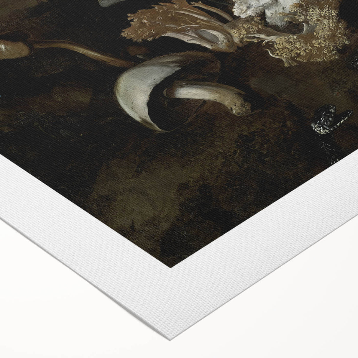 Dark Moody Mushroom Still Life - Atmospheric Botanical Wall Art Decor