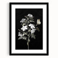 Dark Moody Wall Art - Floral Elegance with Butterfly for Dramatic Spaces