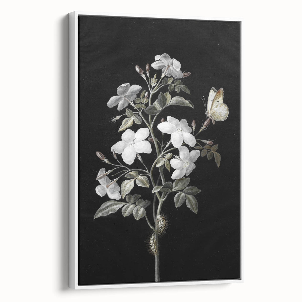 Dark Moody Wall Art - Floral Elegance with Butterfly for Dramatic Spaces