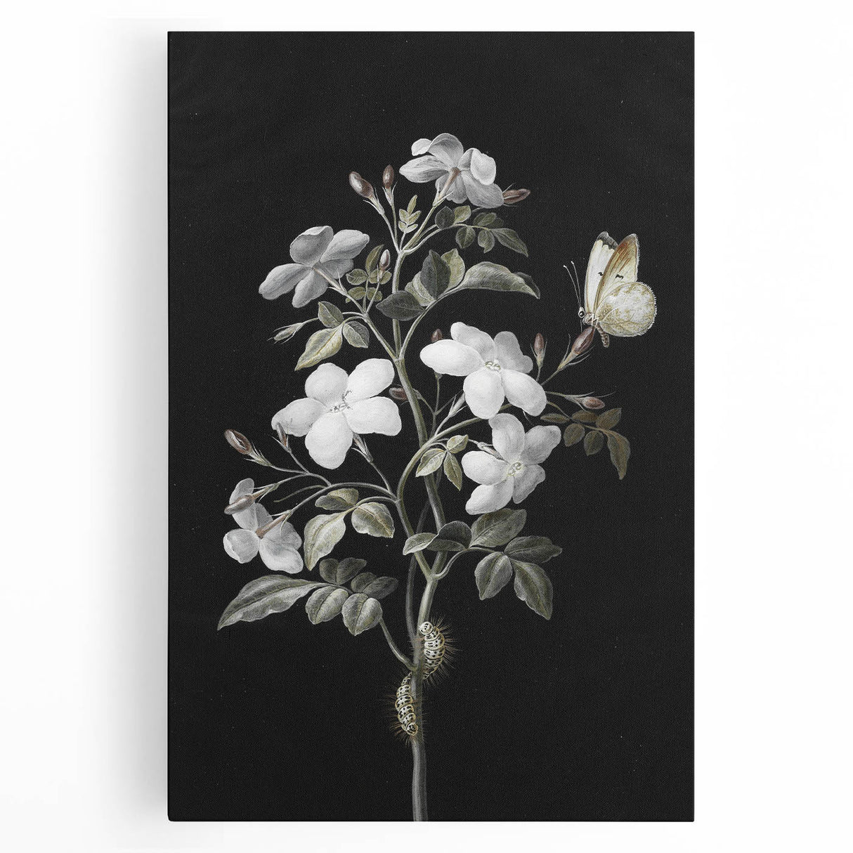 Dark Moody Wall Art - Floral Elegance with Butterfly for Dramatic Spaces
