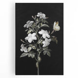 Dark Moody Wall Art - Floral Elegance with Butterfly for Dramatic Spaces