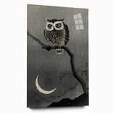 Dark Moody Wall Art - Night Owl and Crescent Moon for Dramatic Spaces