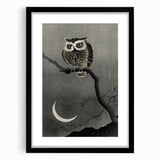 Dark Moody Wall Art - Night Owl and Crescent Moon for Dramatic Spaces