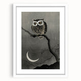 Dark Moody Wall Art - Night Owl and Crescent Moon for Dramatic Spaces