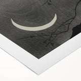 Dark Moody Wall Art - Night Owl and Crescent Moon for Dramatic Spaces