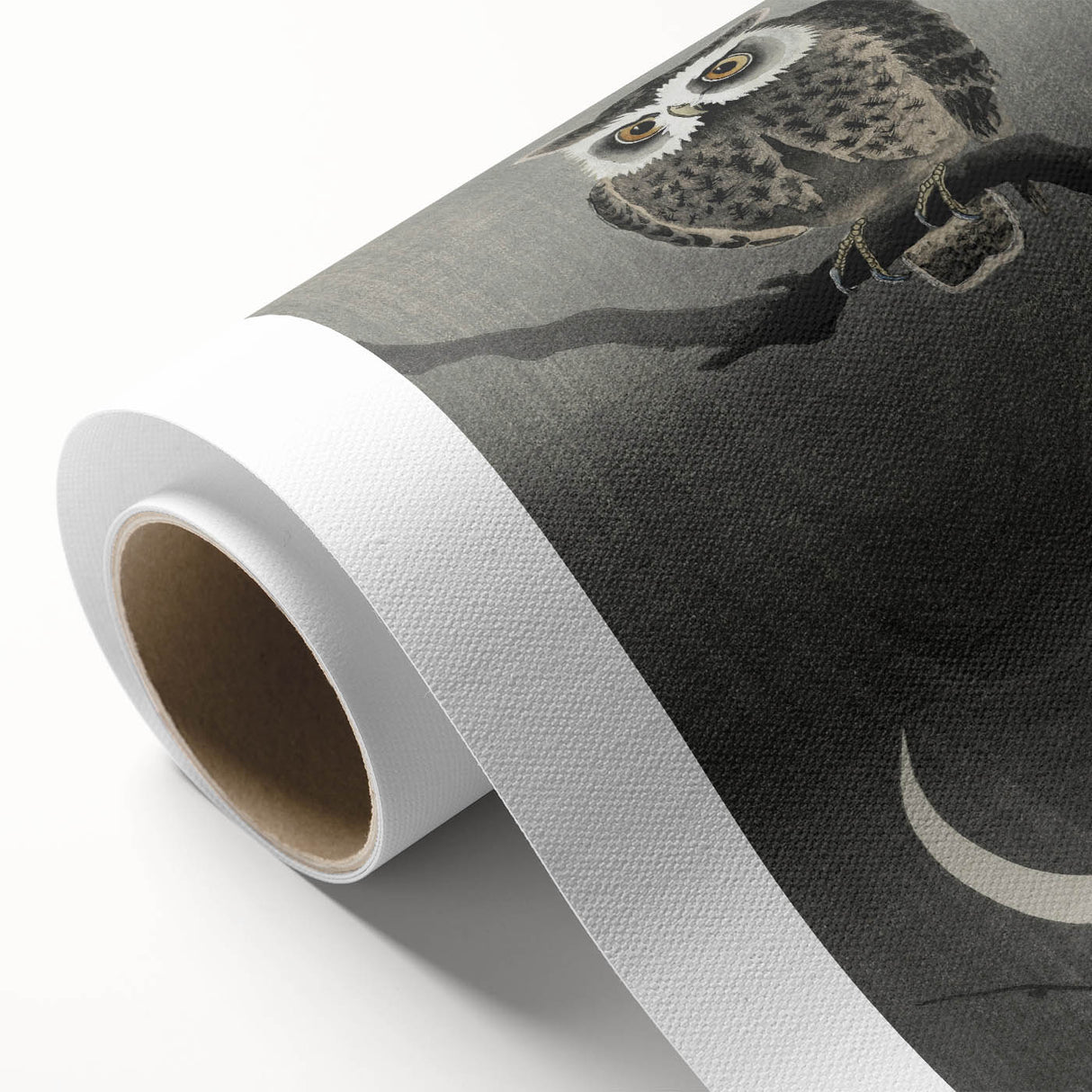 Dark Moody Wall Art - Night Owl and Crescent Moon for Dramatic Spaces
